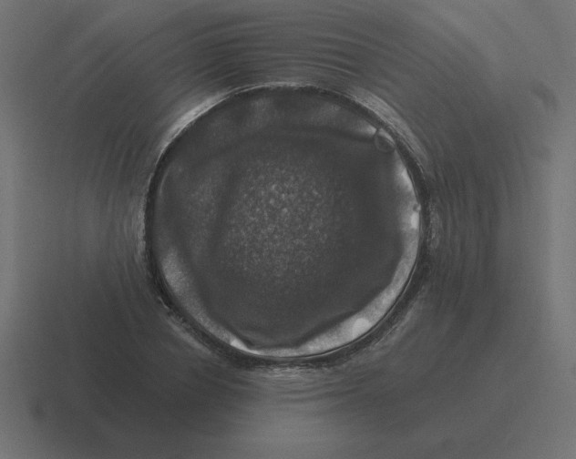 X0000116450834200912291946