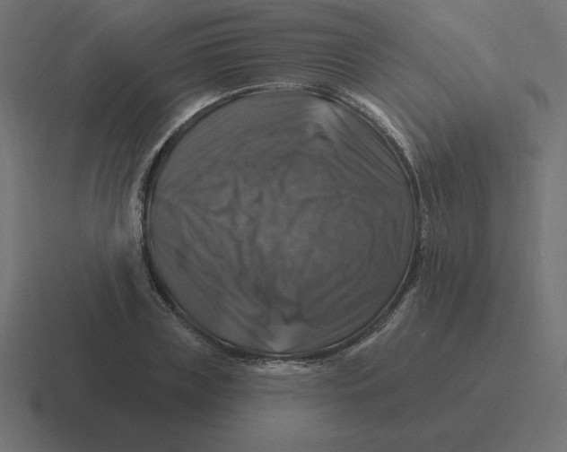 X0000116450835200912291946