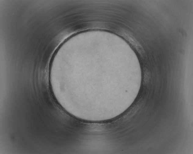 X0000116450836200912291946