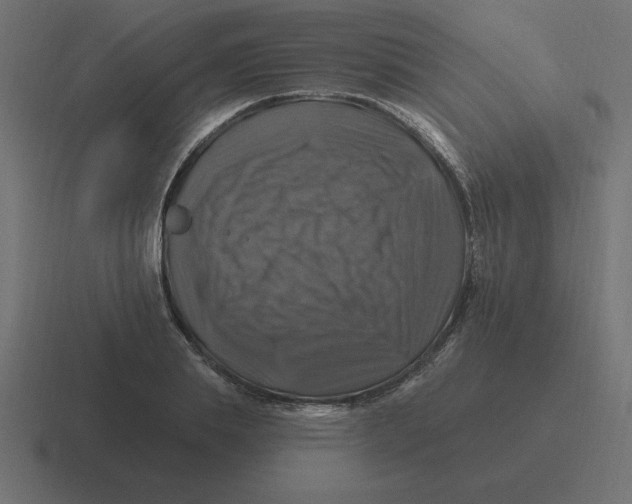 X0000116450839200912291946