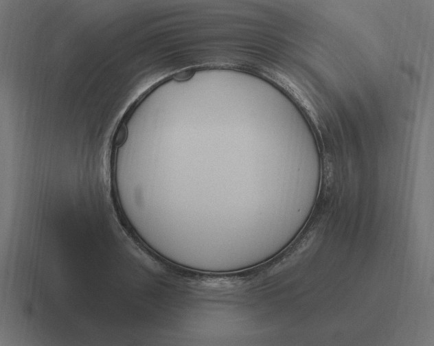 X0000116450843200912291946
