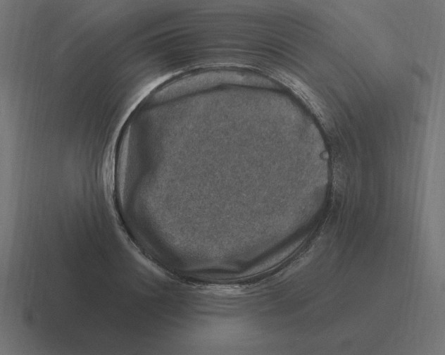 X0000116450844200912291946