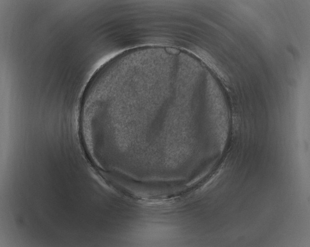 X0000116450846200912291946