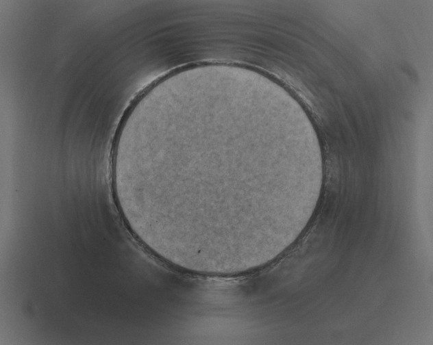 X0000116450848200912291946