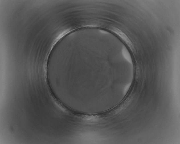 X0000116450850200912291946