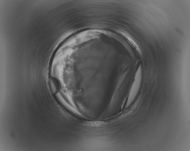 X0000116450853200912291946
