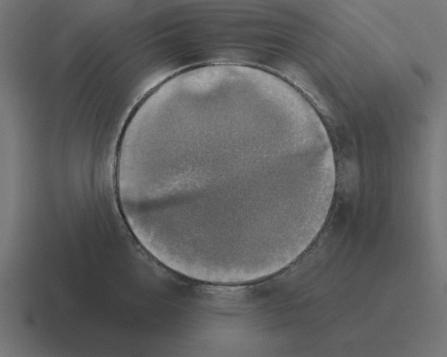 X0000116450856200912291946