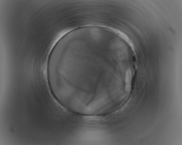 X0000116450863200912291946
