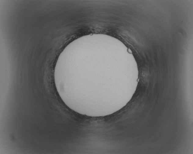 X0000116450865200912291945
