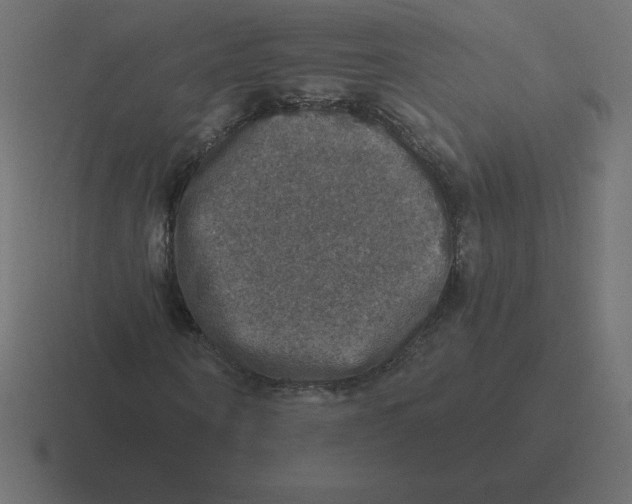 X0000116450866200912291945