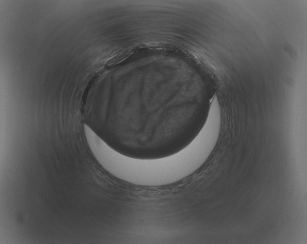 X0000116450868200912291945