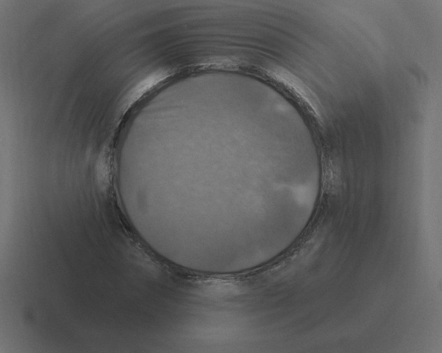X0000116450874200912291945
