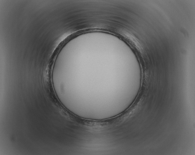 X0000116450875200912291945