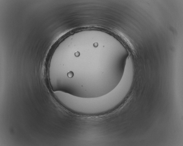X0000116450876200912291945