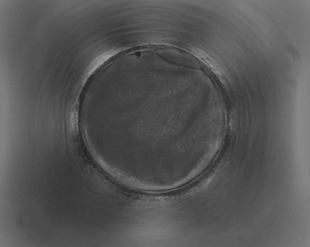 X0000116450877200912291945