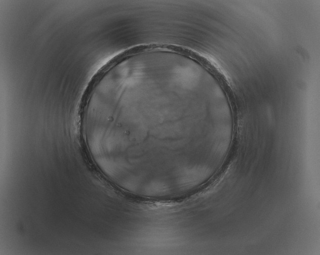 X0000116450879200912291945