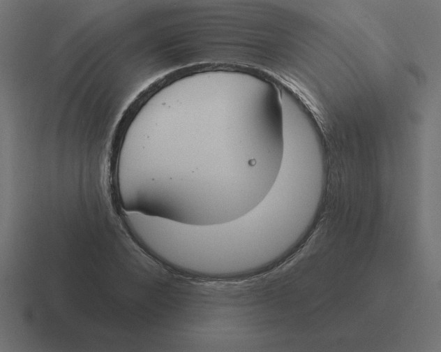 X0000116450880200912291945