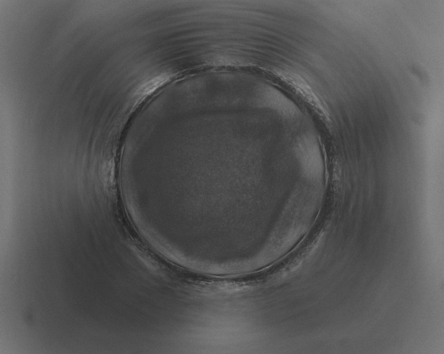 X0000116450881200912291945