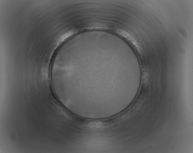 X0000116450882200912291945