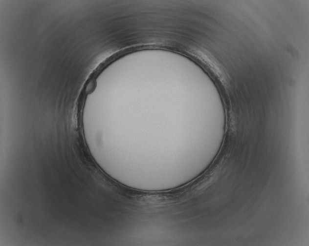 X0000116450883200912291945