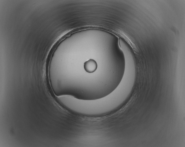 X0000116450884200912291945