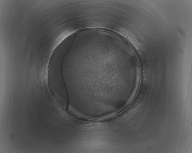 X0000116450885200912291945