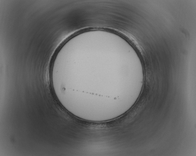 X0000116450887200912291945