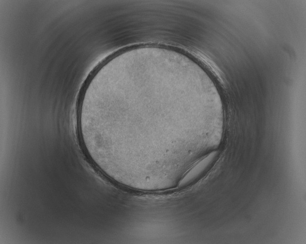 X0000116450888200912291945