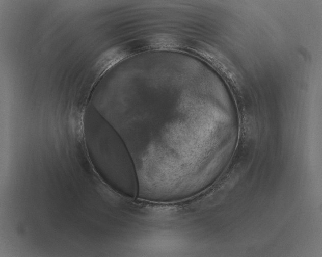 X0000116450889200912291945
