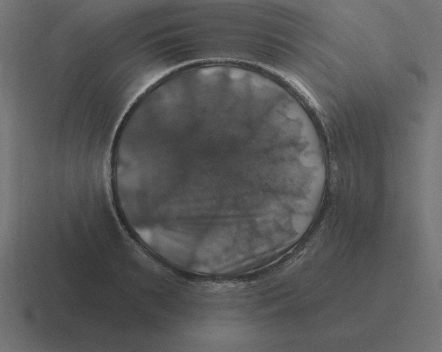 X0000116450895200912291945