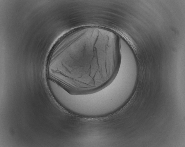 X0000116450896200912291945