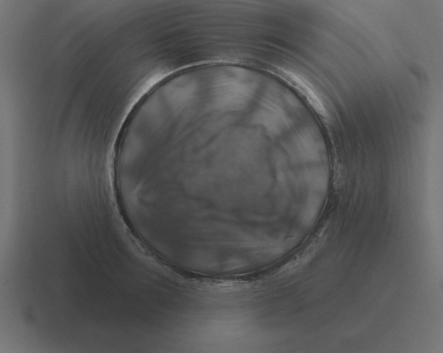 X0000116450899200912291945