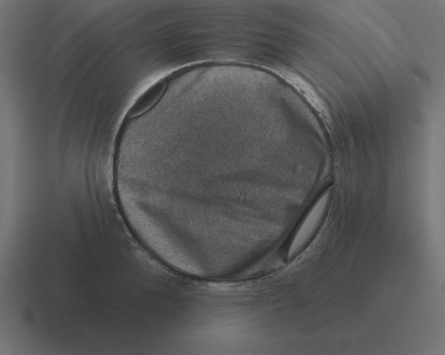 X0000116450904200912291945