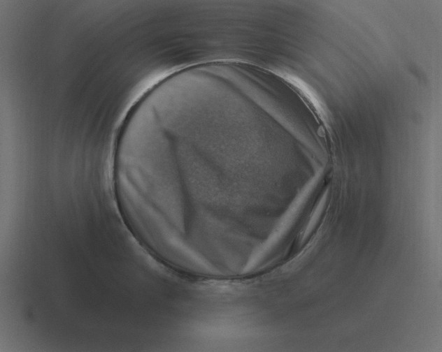 X0000116450910200912291945