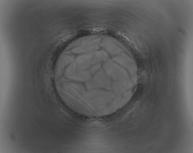 X0000116450913200912291944