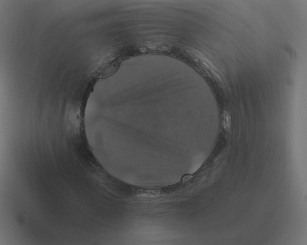 X0000116450915200912291944