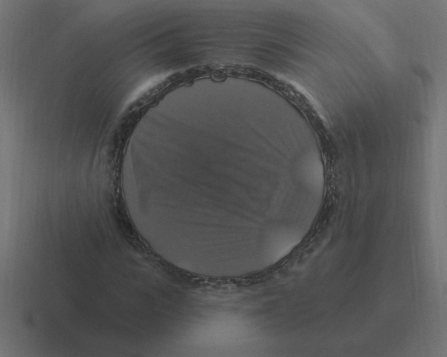 X0000116450919200912291944