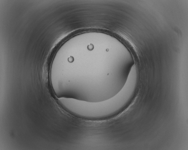 X0000116450925200912291944