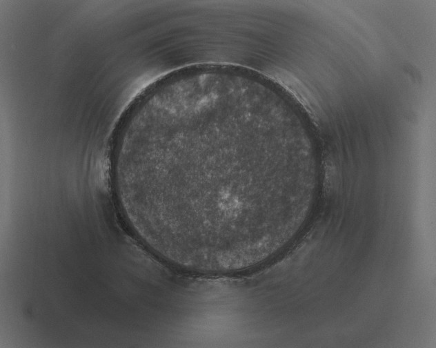 X0000116450926200912291944