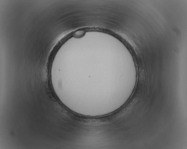 X0000116450927200912291944