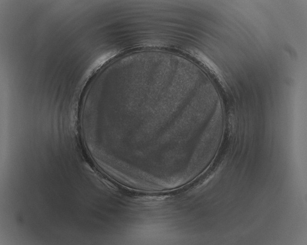 X0000116450930200912291944