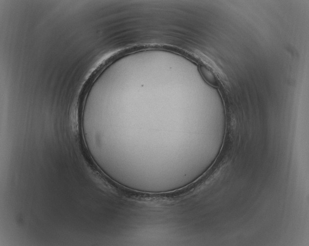 X0000116450934200912291944