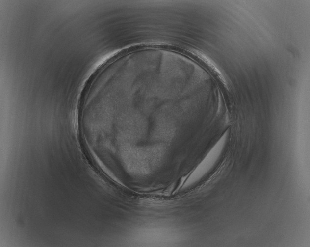 X0000116450935200912291944
