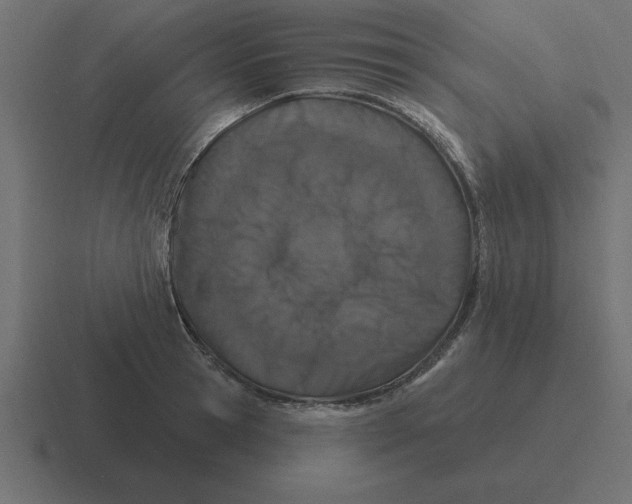 X0000116450945200912291945