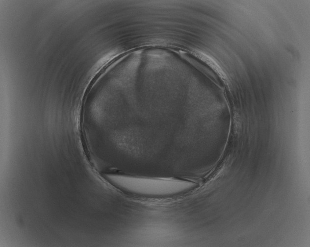 X0000116450946200912291945