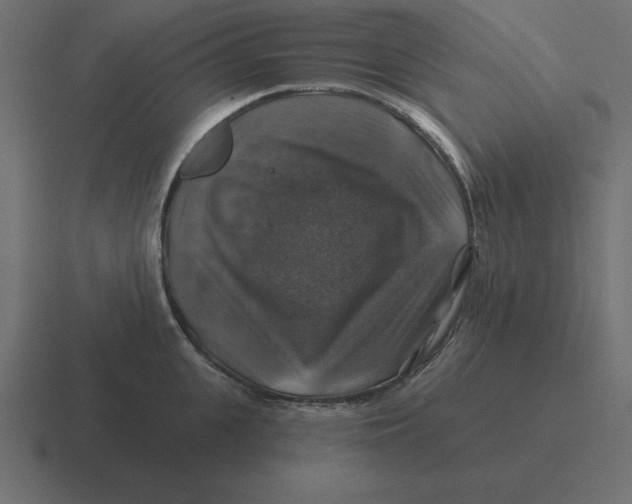 X0000116450951200912291945