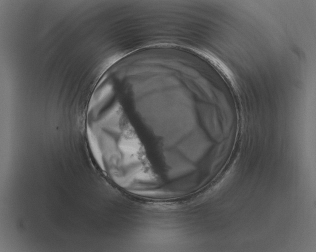 X0000116450953200912291945