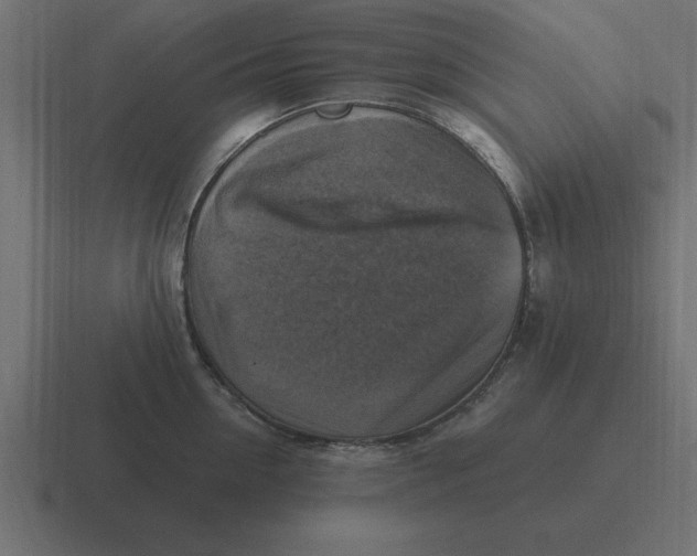 X0000116450954200912291945