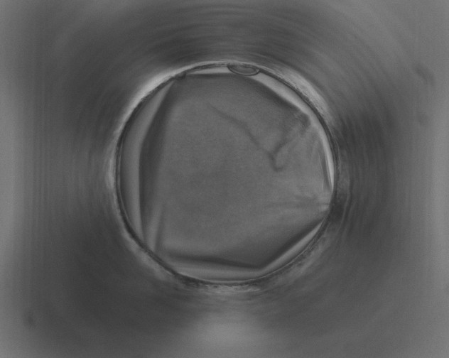 X0000116450958200912291945