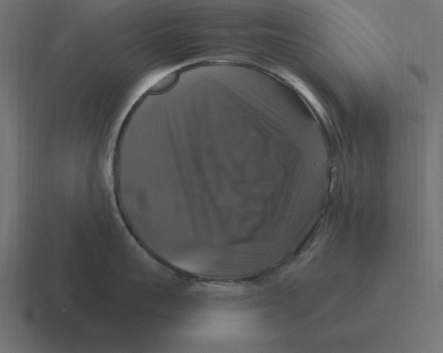 X0000116450959200912291945